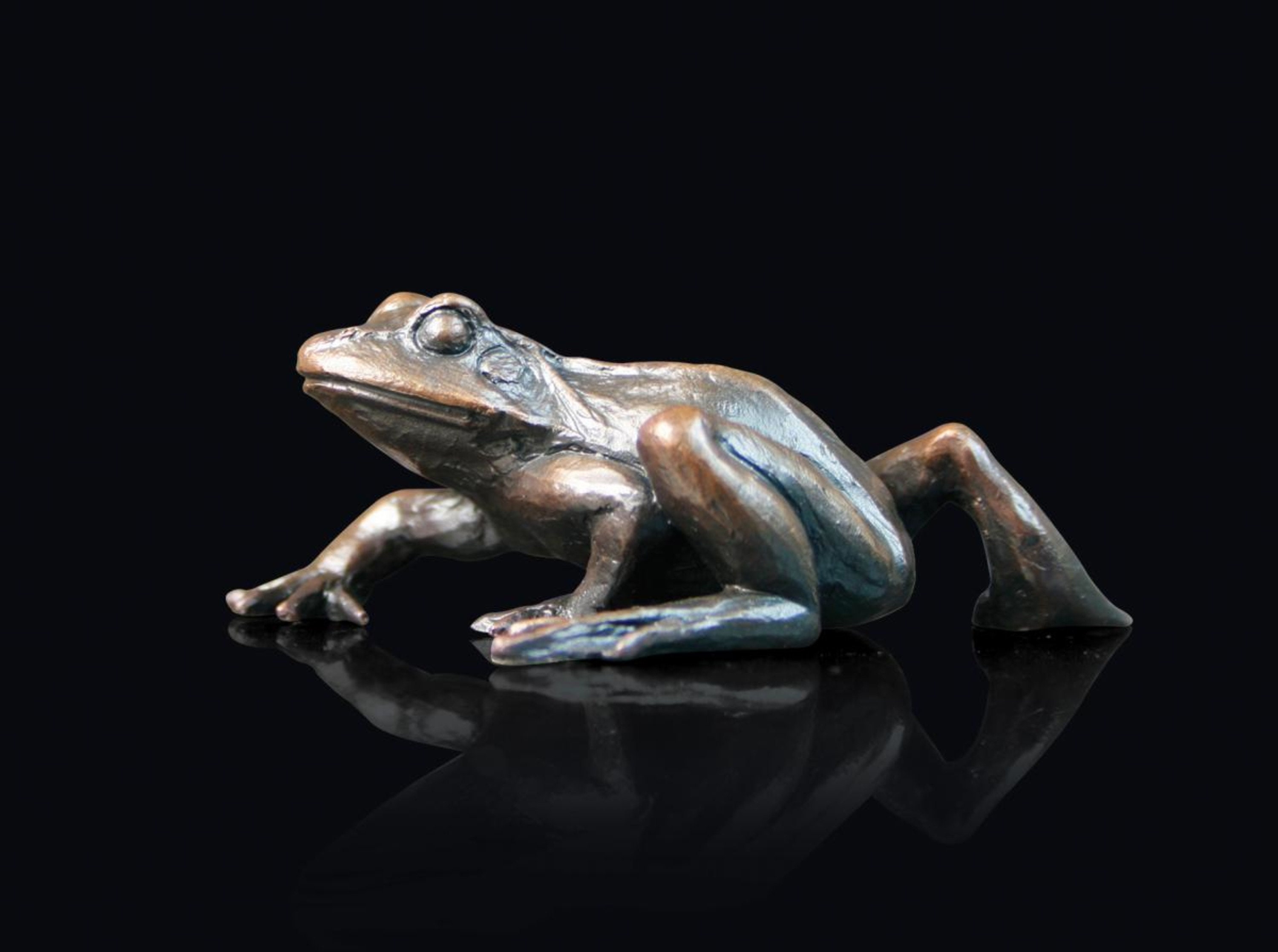 Frog Sculptures -  UK