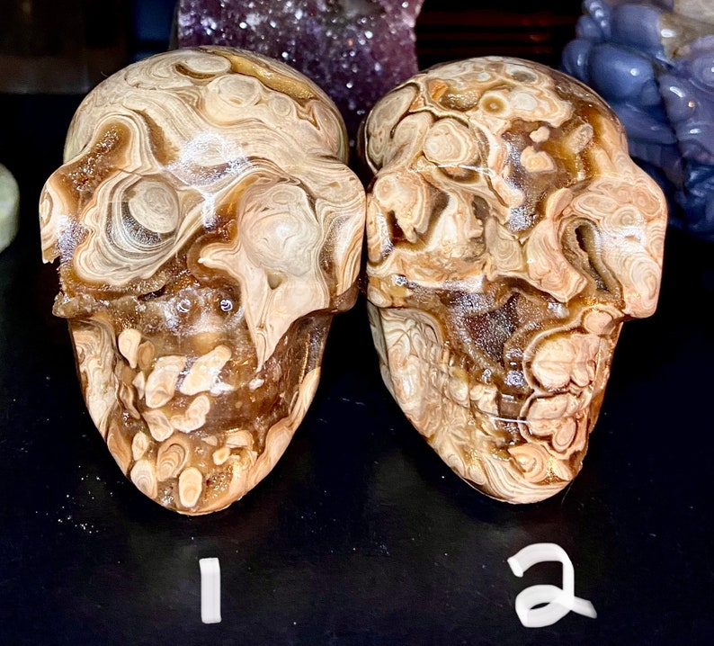 Amber calcite Beautiful chocolate/coffee calcite skulls