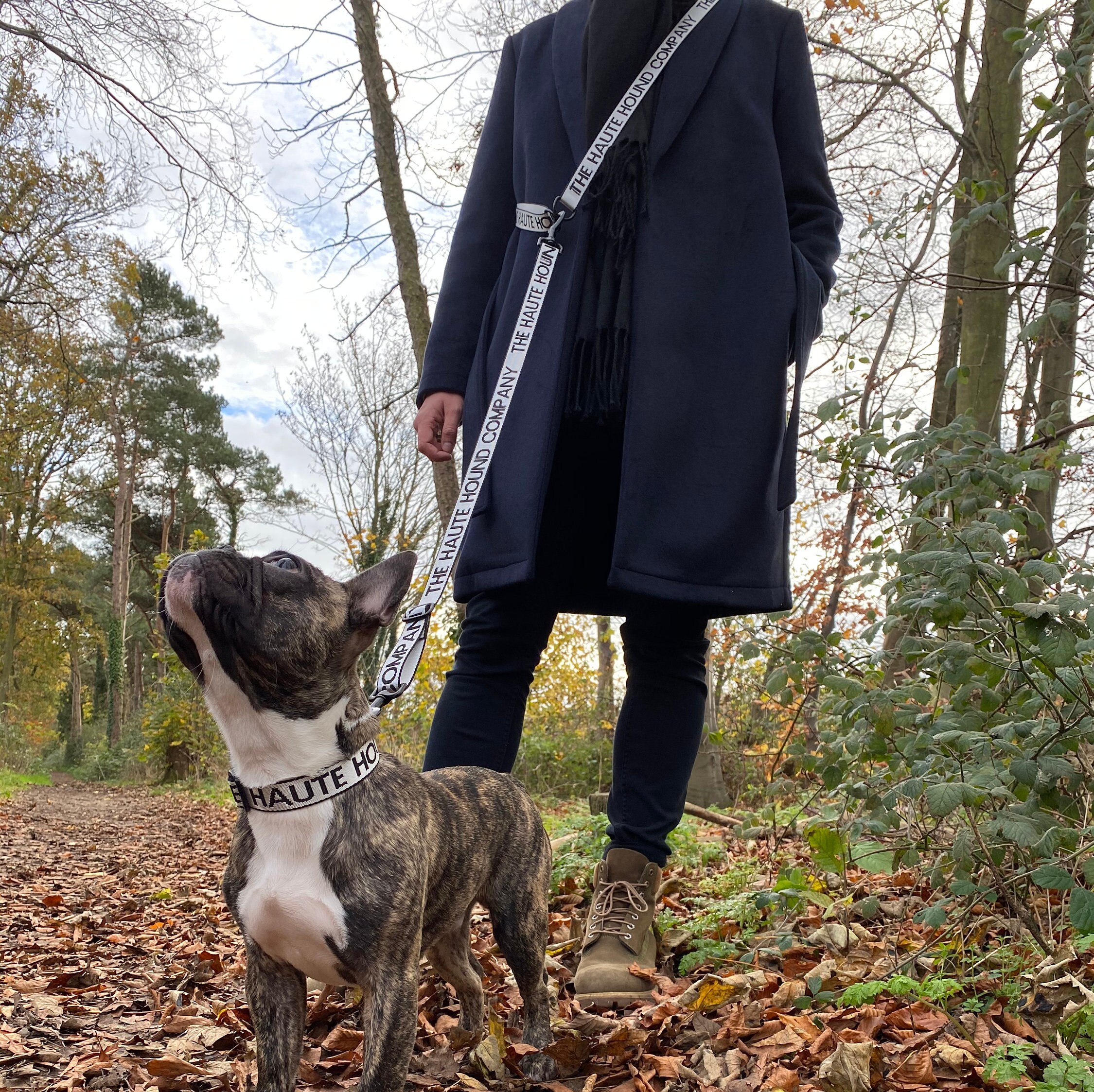 hands free lead for dogs