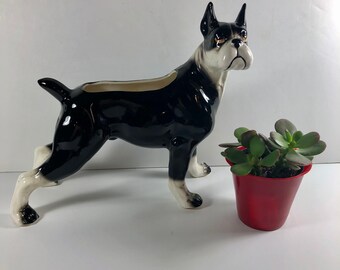 Northern Rose BOSTON TERRIER Figurine PORCELAIN Statue Figure PUPPY DOG FRISBEE Northern Rose BOSTON TERRIER Figurine PORCELAIN Statue Figure PUPPY DOG FRISBEE