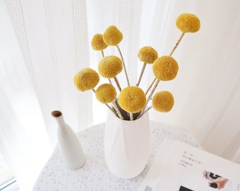 Billy ball bunch, craspedia, Bunch of craspedia, dried yellow flowers, Billy buttons, baby shower flowers