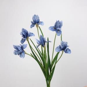 May include: A bouquet of six artificial iris flowers featuring soft blue petals with subtle white edges and yellow centers. The flowers are attached to long, slender green stems with pointed green leaves extending from the base of the stems.