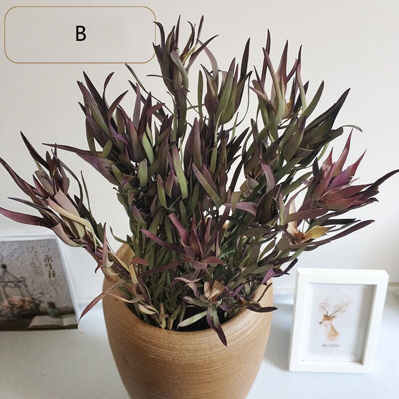 Dried flowers dried Lily flower Lily flower dried Lily Etsy