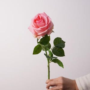 May include: A single artificial rose with soft pink petals arranged in a layered bloom. The flower is attached to a slender green stem featuring several dark green leaves with serrated edges, extending along the length of the stem.