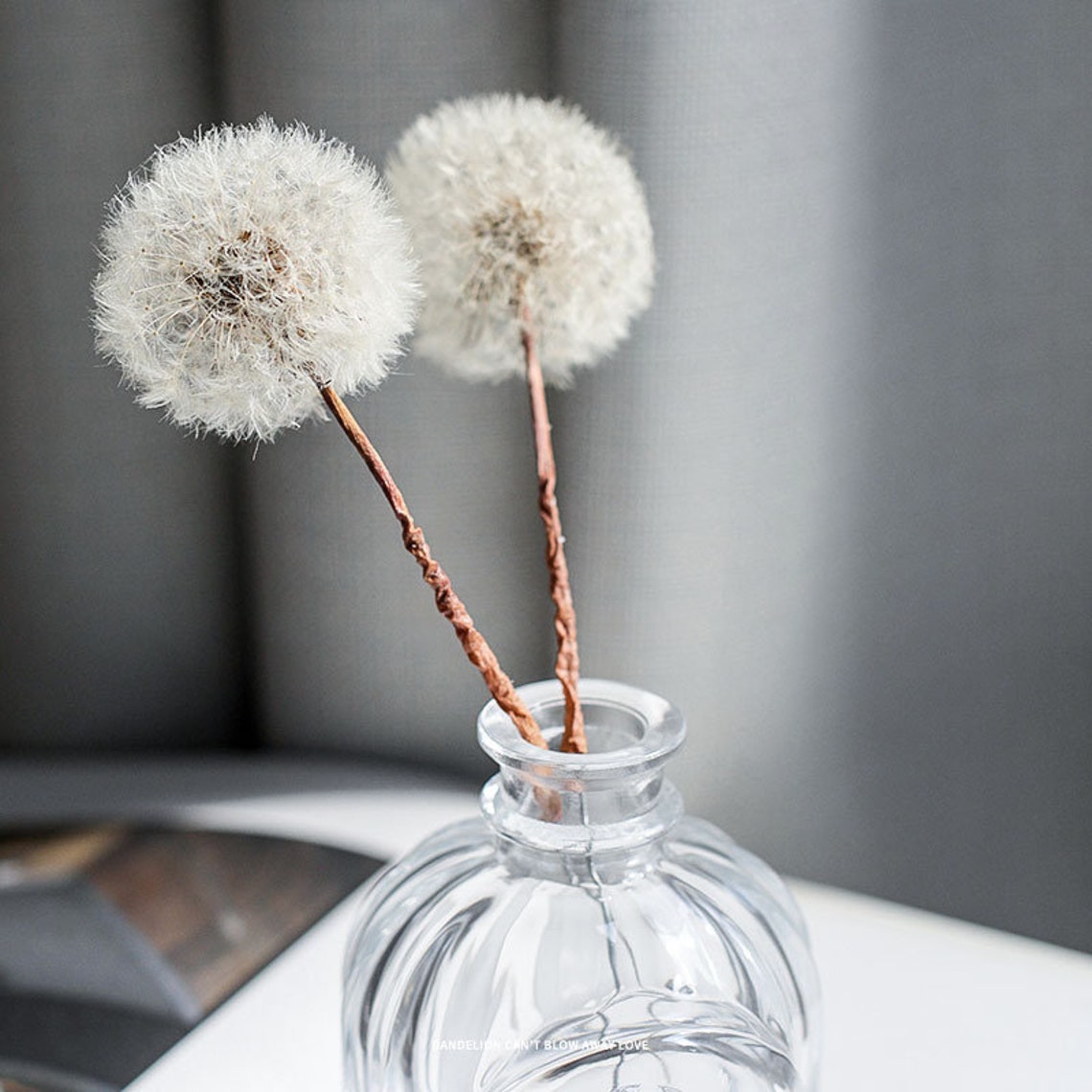 Dried flowers Dandelion flower dried Dandelion flower Etsy