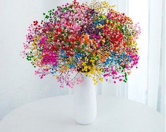 Souffle de bébé préservé Fleurs séchées, fleur séchée, décor de mariage de fleurs, mariage d’automne, fleurs séchées Décoration de la maison un bouquet