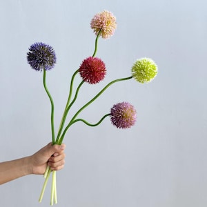 Peut inclure: Un bouquet de cinq fleurs d'allium artificielles aux têtes sphériques dans des tons de violet, rose clair, rouge foncé, vert lime et lavande. Chaque fleur possède une longue tige verte, fine et lisse, qui se courbe légèrement vers la fleur.