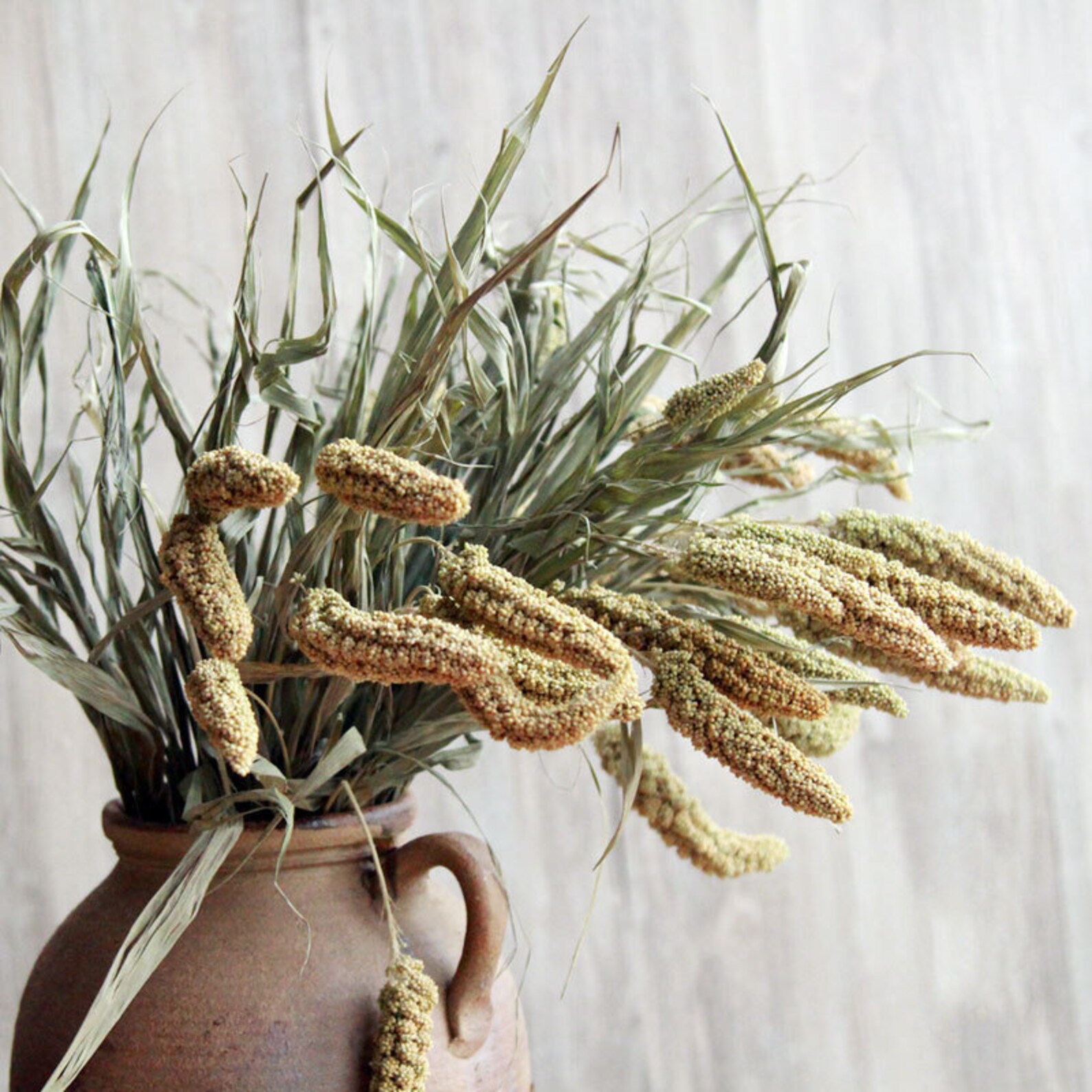 Dried Flowers Primary Color Millet With Barnyard Grassnatural Etsy