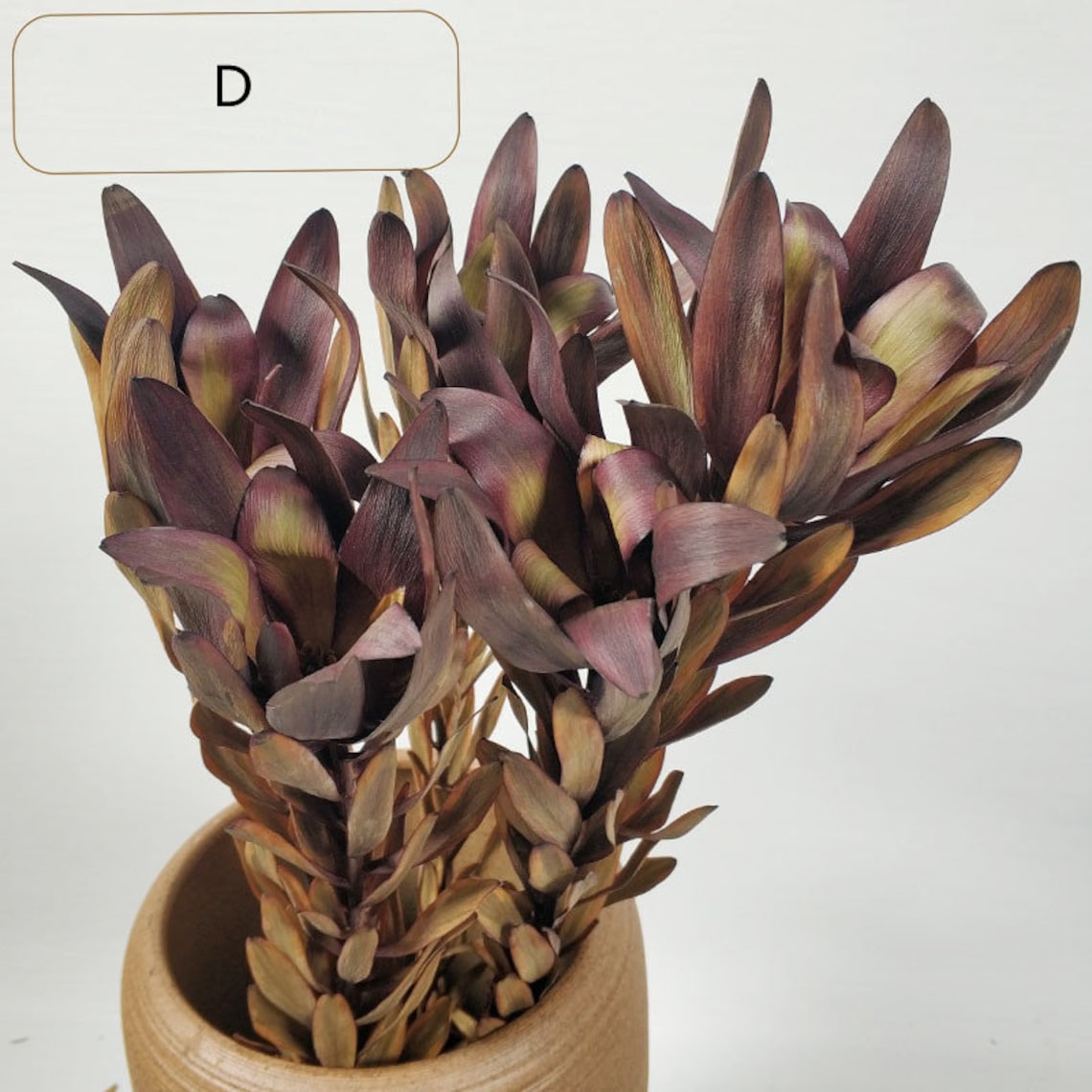 Dried flowers dried Lily flower Lily flower dried Lily Etsy