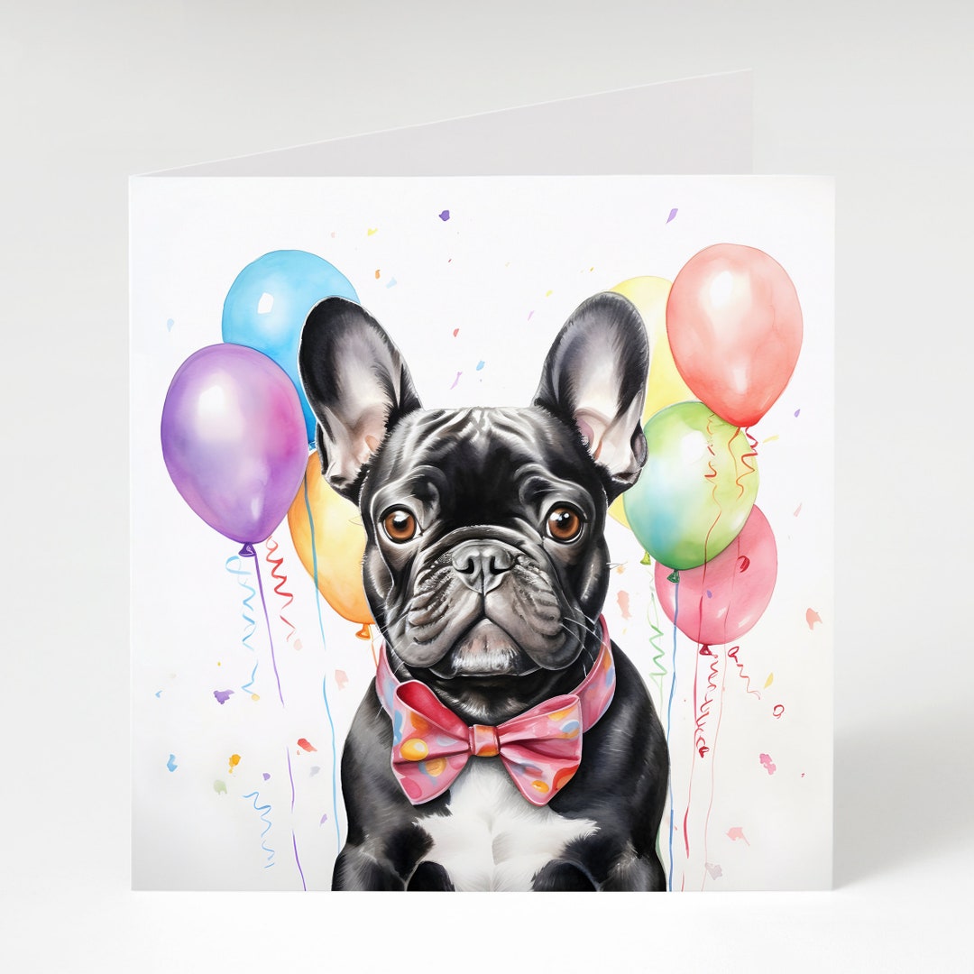 Compleanno del cucciolo di bulldog francese immagini e fotografie stock