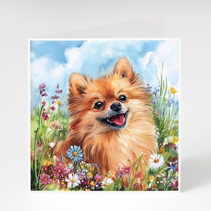 May include: A small, fluffy, orange Pomeranian dog with a happy expression sits in a field of colorful wildflowers. The dog is looking directly at the viewer.