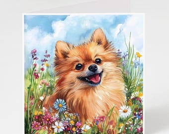 Könnte beinhalten: Ein kleiner, flauschiger, orangefarbener Zwergspitz mit einem glücklichen Ausdruck sitzt in einem Feld voller bunter Wildblumen. Der Hund schaut direkt auf den Betrachter.