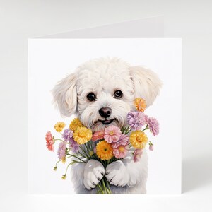 May include: A white fluffy dog holding a bouquet of pink, yellow and purple flowers. The dog is looking directly at the viewer.