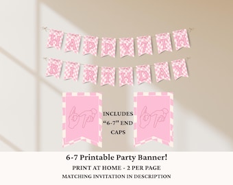 Six Seven Birthday Banner, 67 Birthday Party Decorations, 6-7 Girls 7th Pink Birthday, Trendy 7th Birthday Party Banner, Six Seven Meme