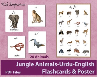 Jungle Animals Urdu English Flashcards & Poster printables - Etsy