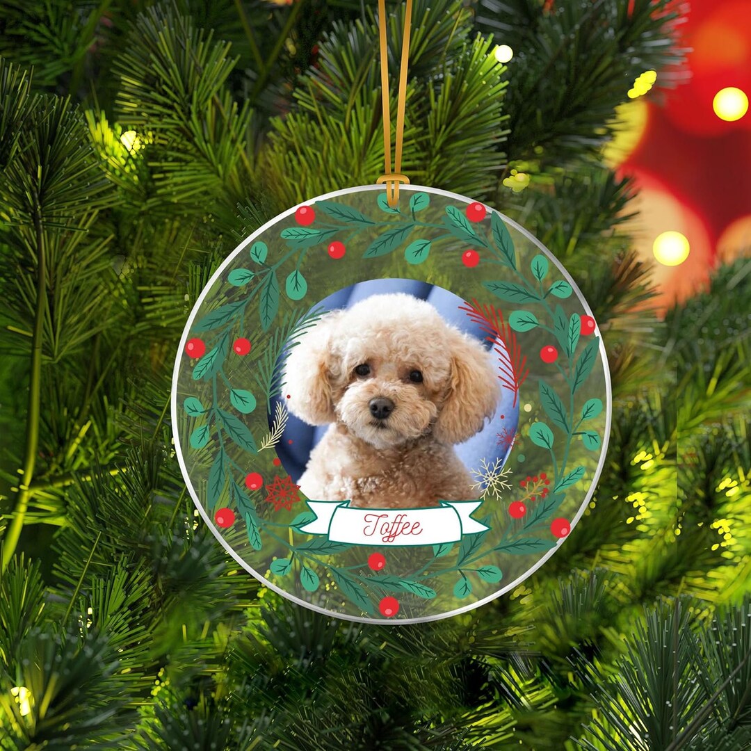 Pet Photo Christmas Ornaments 
