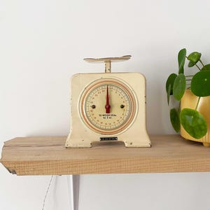 Lyssex Scale - Etsy