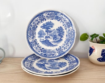 Rare Set of 2 Villeroy and Boch Burgenland Soup Plates - Etsy