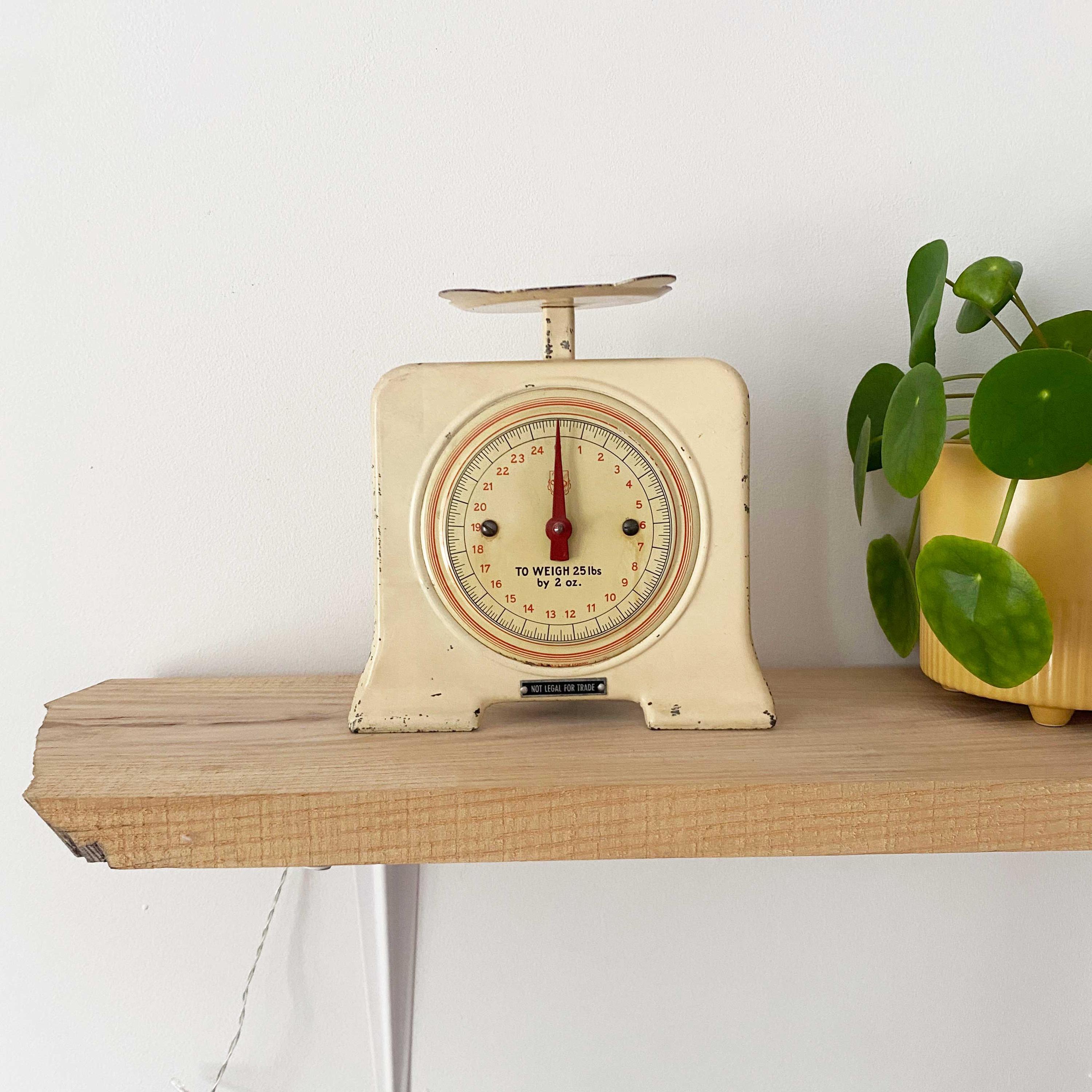Lyssex Scale - Etsy