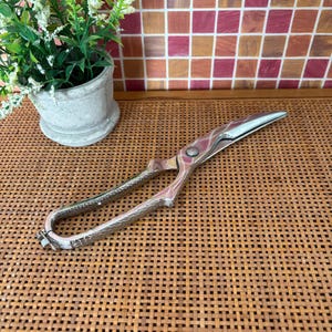 Italian Pedrini Kitchen Shears | Vintage Kitchen Utensils | European Household Tools