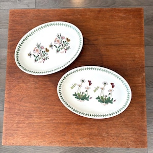 Portmeirion Botanic Garden Ovale Servierplatte im Dais | RARE 10,75 "Steak Platte | Oven to Table Essgeschirr