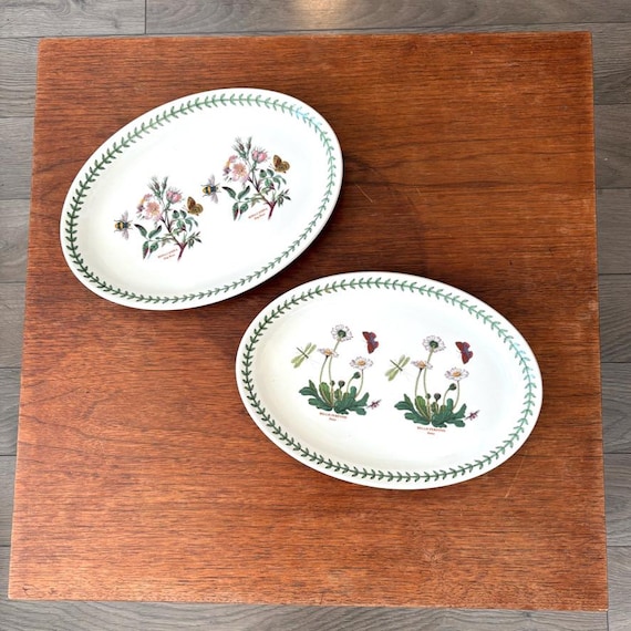Rare Portmeirion Botanic Garden Oval Platter: Daisy Dog Rose