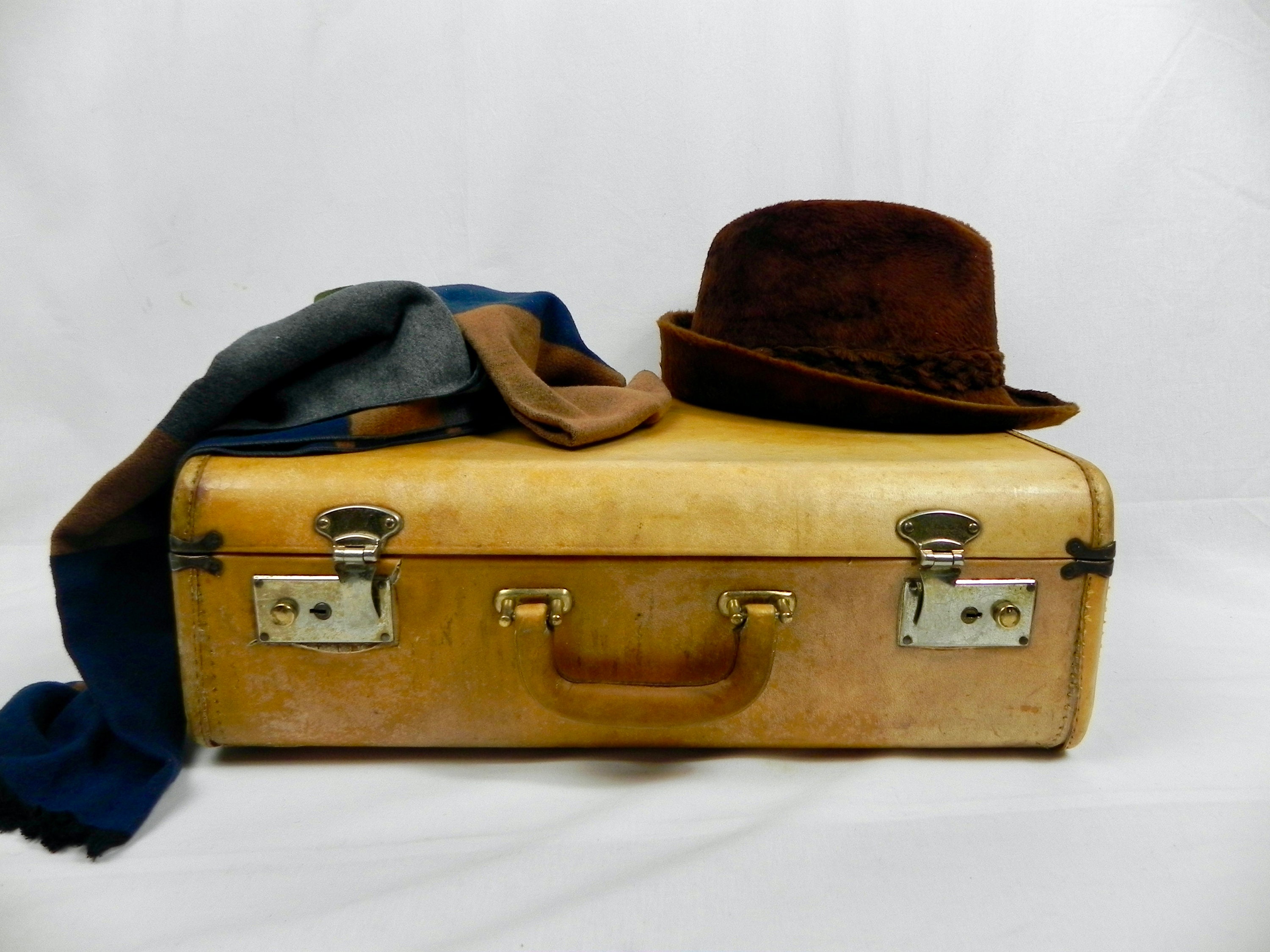 19th Century Victorian Crocodile Skin Suitcase With A, 60% OFF