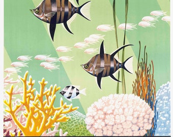 Póster de viaje vintage de la Barrera de Coral, Queensland, Australia
