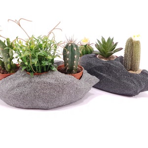 May include: Three potted succulents in a gray rock-shaped planter. The planter is shaped like a rock with a rough texture. The succulents are in brown pots and are green and brown in color.