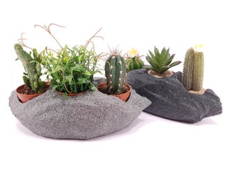 Succulent planter Granite stone look 3 succulent pot Rock shape planter Table decoration planter Indoor garden planter Natural look