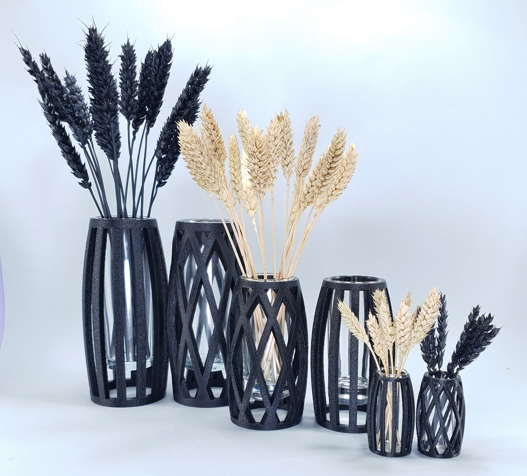 Minimalist Glass Vase Goth Style Black Vase Propagation Etsy