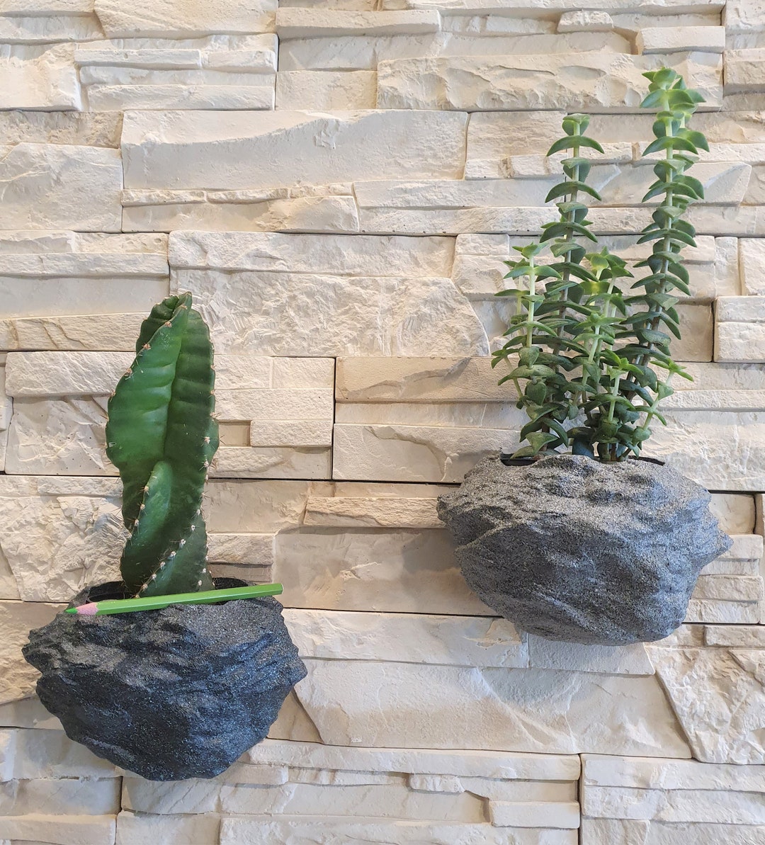 鉢・プランター stone plate gypsy plants 鉢・プランター stone plate gypsy plants 鉢・プランター stone plate