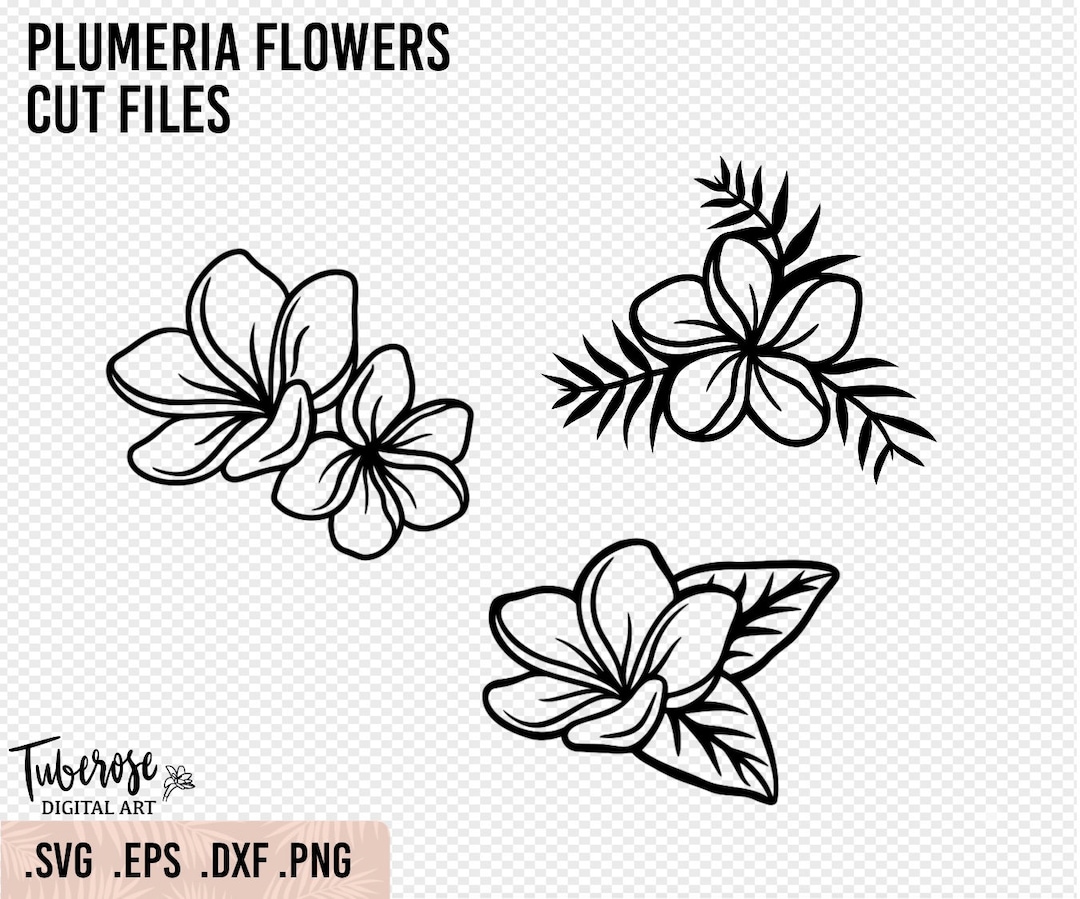 Plumeria Flower Svgs, Illustrated Plumeria Frangipani Line Art, Floral
