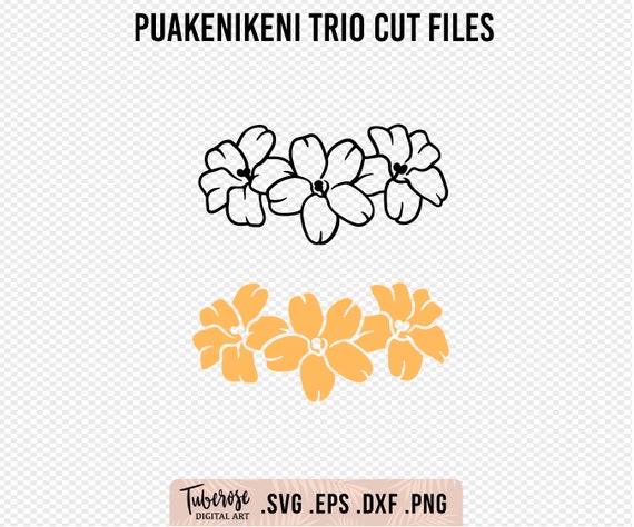 Puakenikeni Trio SVG, Floral sticker design, Hawaiian flower SVG, Dxf, Png, Puakenikeni flower iron on cricut file, Waterbottle sticker