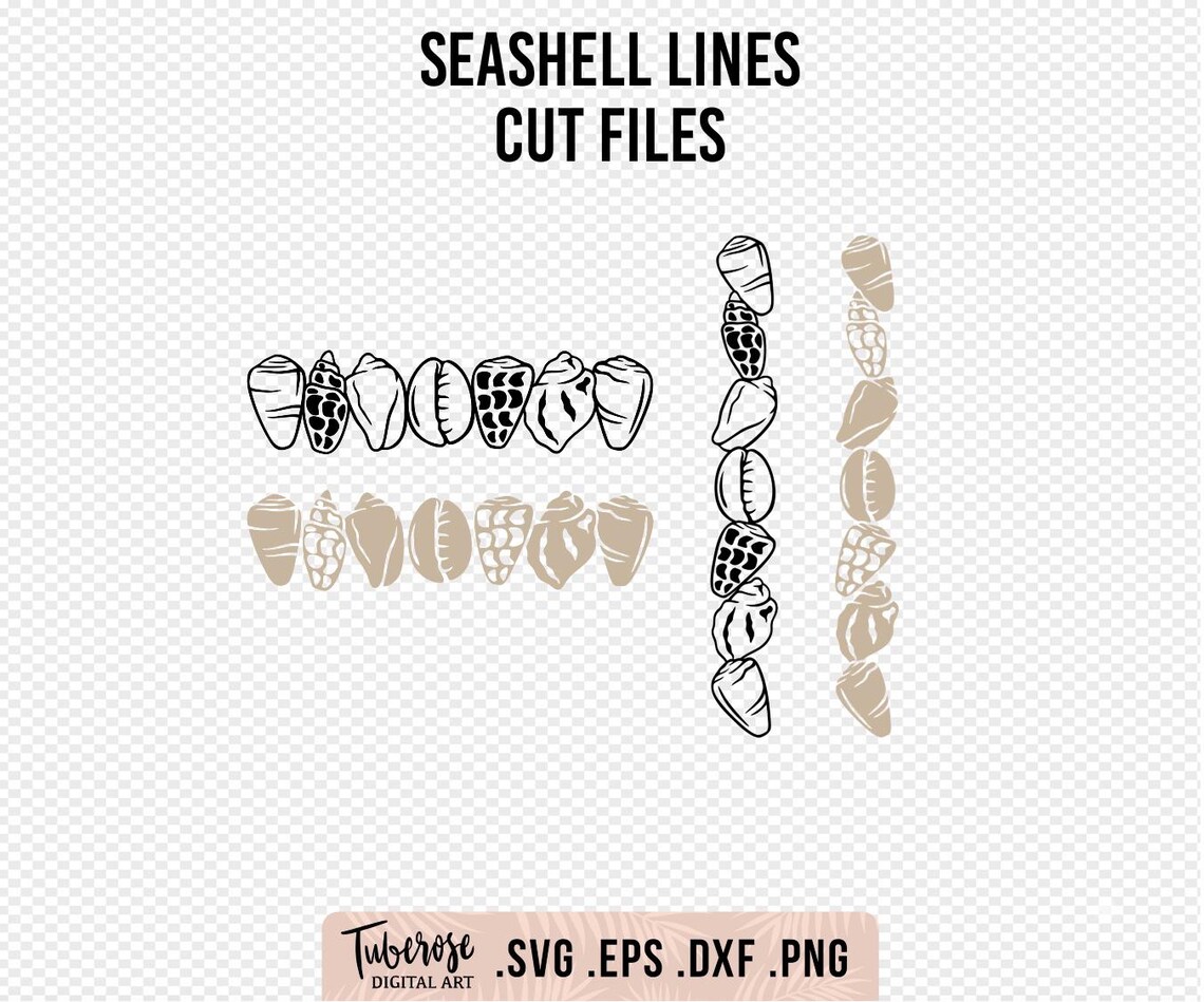 Sea Shell Line Border Seashell Lines, Horizontal and Vertical Shell Lines. Cone Shell SVG ...