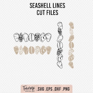 Puede incluir: Archivos de corte de líneas de conchas marinas para proyectos de manualidades. El diseño presenta una fila de conchas marinas y dos líneas verticales de conchas marinas. El texto "Seashell Lines Cut Files" está en la parte superior de la imagen. El texto "TUBEROSE DIGITAL ART .SVG .EPS .DXF .PNG" está en la parte inferior de la imagen.