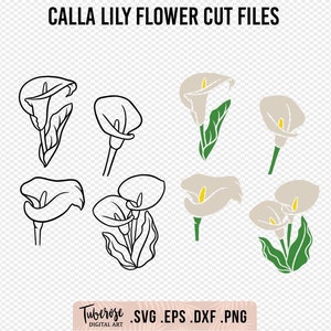 Calla Lelie bloem SVGs, Geïllustreerde Lelie lijntekeningen, cricut stickerbestand, gravure, gelaagde kleurbloemen, Calla Lelie sticker, Trompet lelie svg