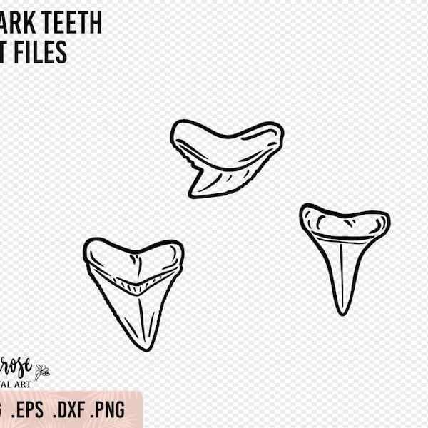 Shark Tooth SVG, Great White Shark Teeth cut files Bull Shark Tiger Shark Tooth Vector and hi res PNG for stickers, iron on digital stickers