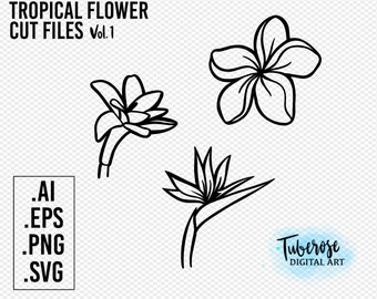 Plumeria Flower SVG PNG Cut Files Frangipani Floral | Etsy