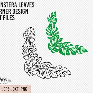 Monstera Blätter Tropische Ecke SVG Laser-Datei, Tropisches Blattdesign Cricut geschnitten Dateien, Dschungel Blätter Hand illustriert Clipart Linie Kunst PNG
