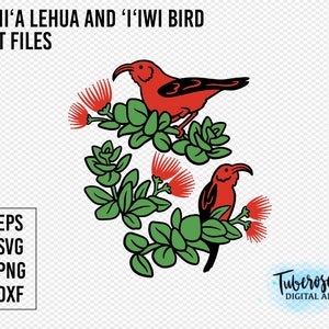 Ohia Lehua en I'iwi svg, 'Ohi'a Hawaiiaanse plant en honingkruiper gesneden bestand, Lehua bloem svg, Hawaiiaanse inheemse tropische planten en dieren
