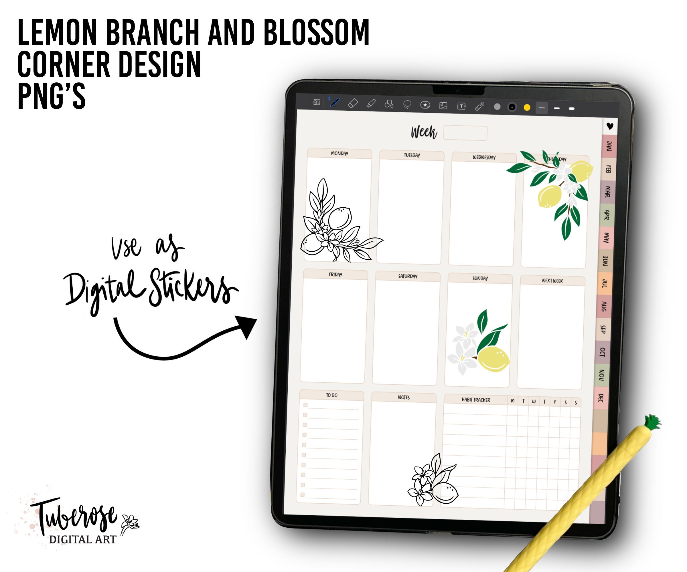 Lemon Branch & Blossom Corner SVG Laser File, Lemon Flower Illustration ...