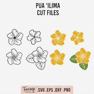 May include: A set of six digital cut files featuring a stylized illustration of a flower. The files are available in SVG, EPS, DXF, and PNG formats. The flower is shown in both black and white and yellow.