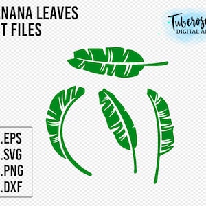 Banane Blätter SVG, Tropische Blätter Schnittdateien, Tropische Muster Elemente PNG, Minimal Blatt Aufkleber Aufkleber Design, Banana Leaf Cricut Dateien,