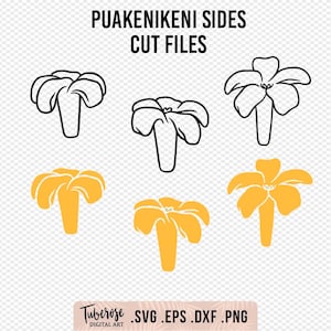 Könnte beinhalten: Sechs schwarz-weiße Umrissbilder einer Blume mit fünf Blütenblättern und eine gelbfarbene gefüllte Version jedes Bildes. Der Text "PUAKENIKENI SIDES CUT FILES" befindet sich oben im Bild. Der Text "TUBEROSE DIGITAL ART .SVG .EPS .DXF .PNG" befindet sich unten im Bild.