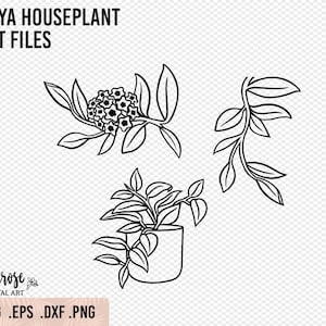 Hoya Carnosa Plant SVG, Hoya flower and houseplant cricut files for Stickers, iron on and clip art Houseplant line art designs, Iron on, PNG