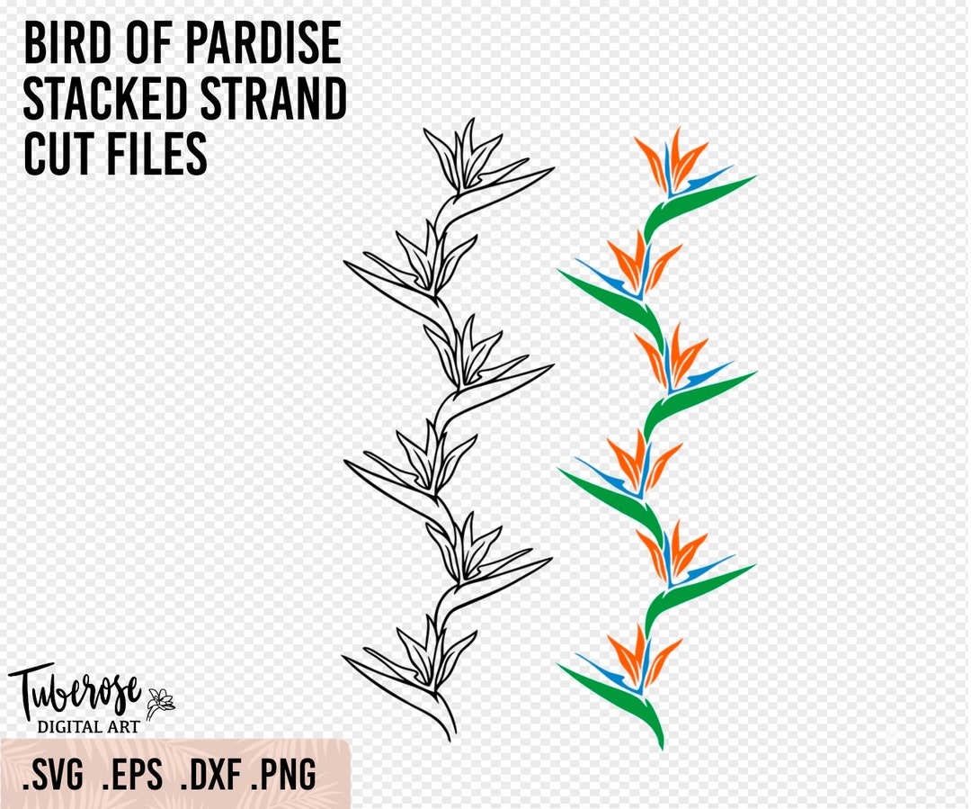 Bird of Paradise Stacked Strand SVG, Tropical Flower SVG Strand ...