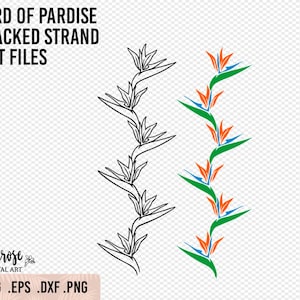 Fio empilhado Bird of Paradise SVG, fio SVG de flor tropical, adesivo floral Cricut de design reto ou arquivo de gravação a laser, BOP png