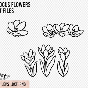 Peut inclure: Un ensemble d'illustrations de fleurs de crocus en noir et blanc. Les illustrations comprennent une seule fleur, un groupe de trois fleurs et deux fleurs avec des tiges et des feuilles.