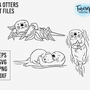 Fichiers de coupe SVG Sea Loutre, Fichiers de coupe de varech de la loutre de mer, conception d’autocollants d’art de ligne de loutre et de bébé, Illustration des loutres PNG